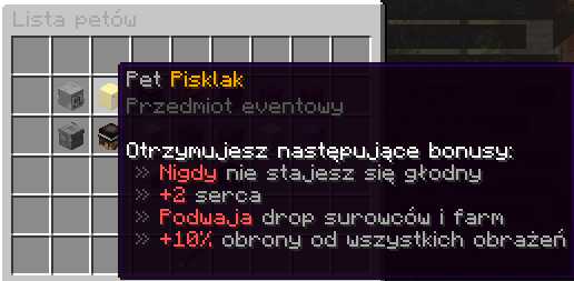 Zrzut ekranu z serwera